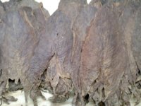 Dominican Ligero2.jpg