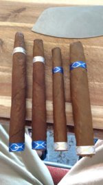 IMG_20161016_160525589.jpg