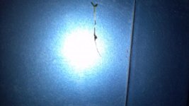 2013-03-09_21-36-23_239.jpg