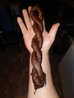 20200914_071304.jpg