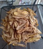 20210528_101120 (2).jpg