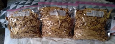 20210528_110225 (2).jpg