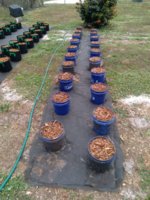20220128_103114.jpg