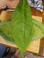 20220922_192715.jpg