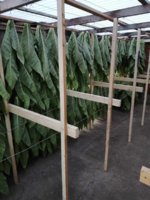 stockhanged 7 juli.jpg