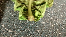 IMG_20230711_184220828_HDR[1].jpg