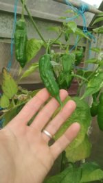 IMG_20230822_154333991[1].jpg