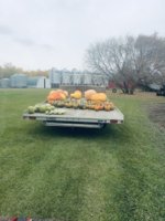 IMG_4573.jpeg