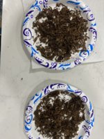 IMG_1598.jpeg