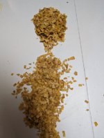 PXL_20240125_014221656.jpg