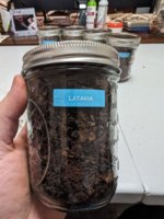 PXL_20240125_050429205.jpg