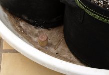 hole wth cork.JPG