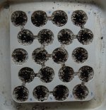 perlite.JPG