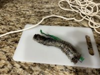 IMG_6971.jpeg