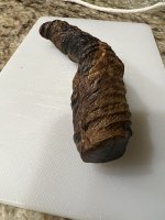 IMG_6974.jpeg