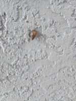 IMG_20240714_104924389.jpg