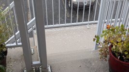 2-hail.jpg