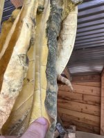 IMG_2878.jpeg