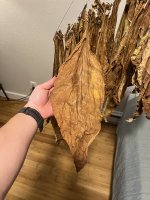 IMG_3482.jpeg