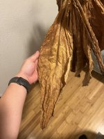 IMG_3483.jpeg