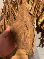 IMG_3485.jpeg