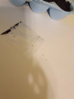 20250814_174608.jpg