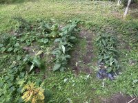 IMG_5100.jpeg