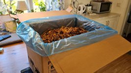 Tobacco 2025-08-25 1.jpg