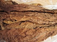 tobacco1.jpg