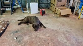 Tobacco 2025-10-17 5.jpg