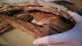 WhatsApp Image 2026-02-15 at 5.43.27 PM(4).jpeg