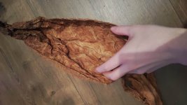 WhatsApp Image 2026-02-15 at 5.43.27 PM(3).jpeg