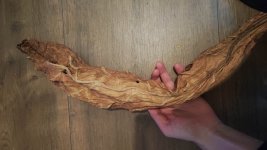 WhatsApp Image 2026-02-15 at 5.43.27 PM(2).jpeg