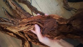 WhatsApp Image 2026-02-15 at 5.43.27 PM.jpeg