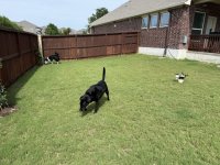IMG_0944.jpeg