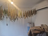 20260727_092625.jpg