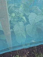 20260820_193626.jpg