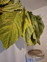 20260829_080449.jpg