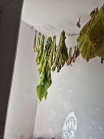 20260906_163158.jpg