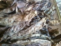 last card read 576.jpg