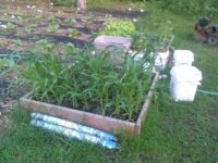 CAM02372_20140613_170042.jpg