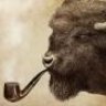 Smokin Buffalo