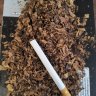 Oregontobaccoplants