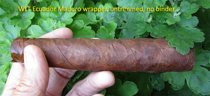 Garden20180814_3801_cigar_EcuadorMaduro_700.jpg