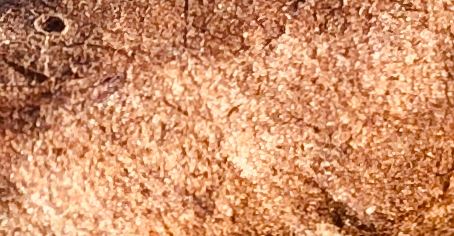 CigarCrater_mars.JPG