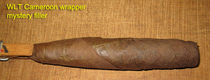Garden20191107_4853_cigar_Cameroon_700.jpg