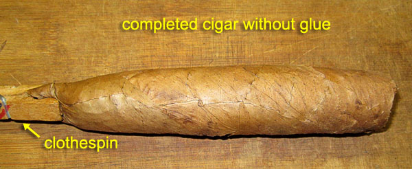 Garden20180901_3879_cigar_CTShade_VuetaAbajo_rolled_600.jpg