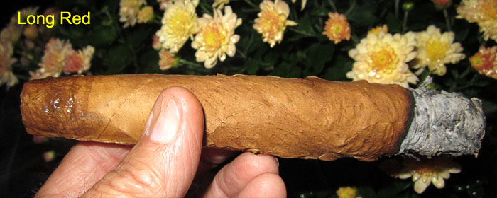 Garden20181006_3943_cigar_LongRed_700.jpg