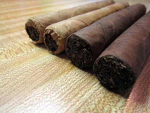 Garden20161117_2374_cigars_molded_tuck_500.jpg