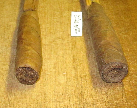 Garden20240406_7341_cigars_Criollo98_CTShade_foot_525.jpg